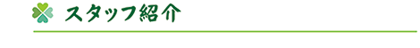 スタッフ紹介